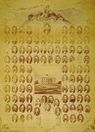 members Constitutional Convention of 1875